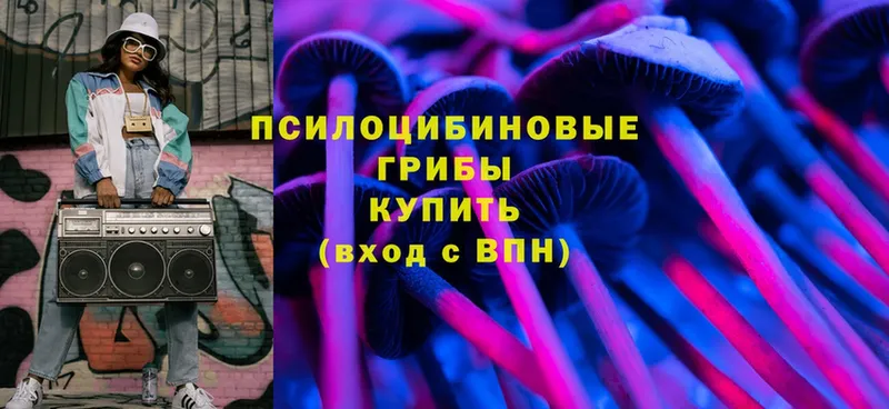 кракен маркетплейс  купить   Кириши  Псилоцибиновые грибы Magic Shrooms 